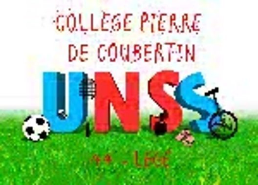 essai logo unss3.jpg