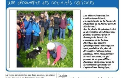 Les 6e à la ferme